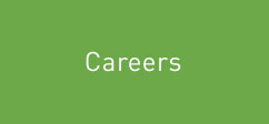 rovit careers